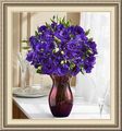 Jebacks Floral Design, 5884 S 50 W, Atlanta, IN 46031, (765)_292-2646